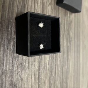 Elegant Silver Stud Earrings